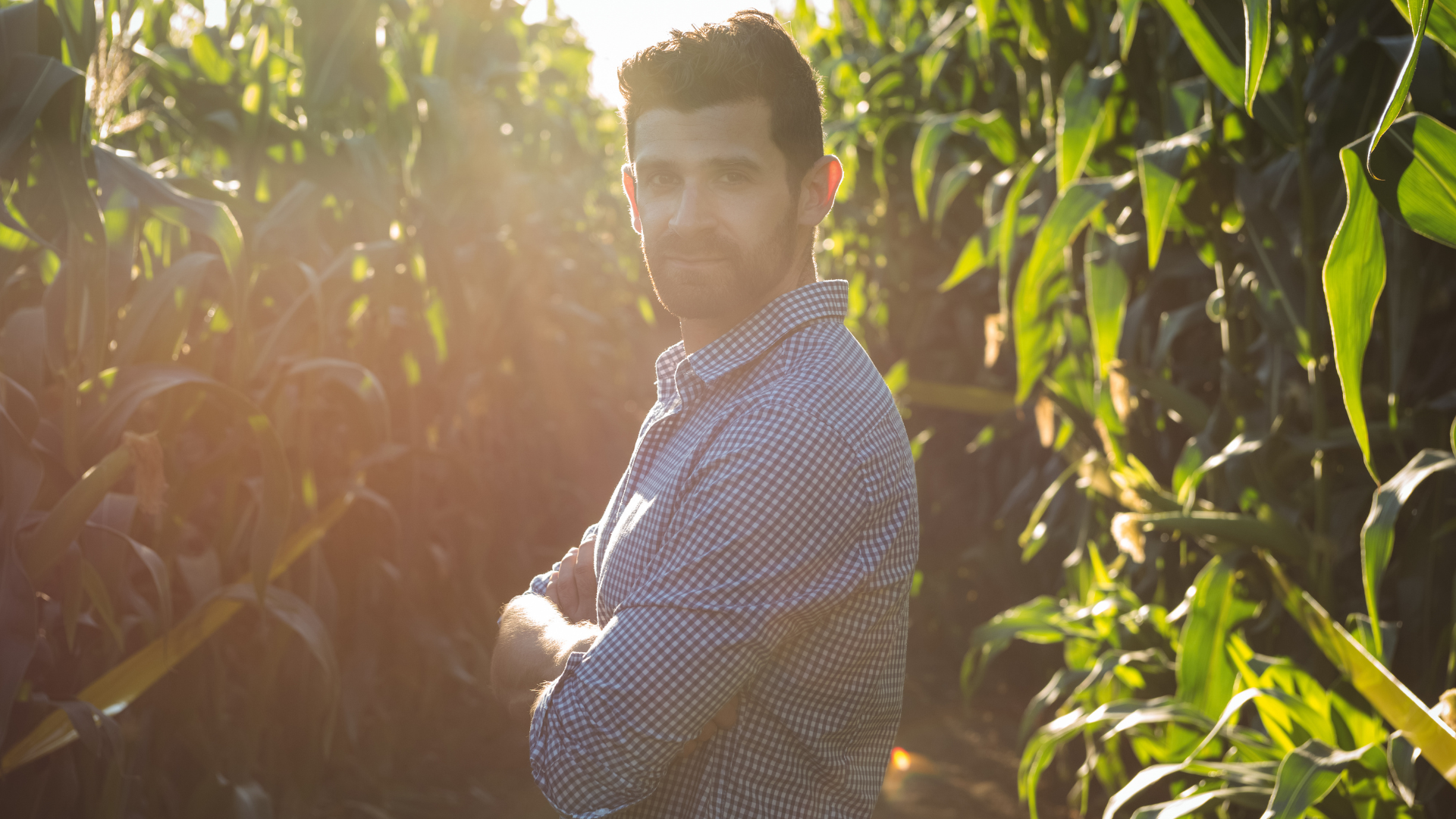 Você sabe o que um consultor técnico do Agro faz Você sabe o que um consultor técnico do Agro faz
